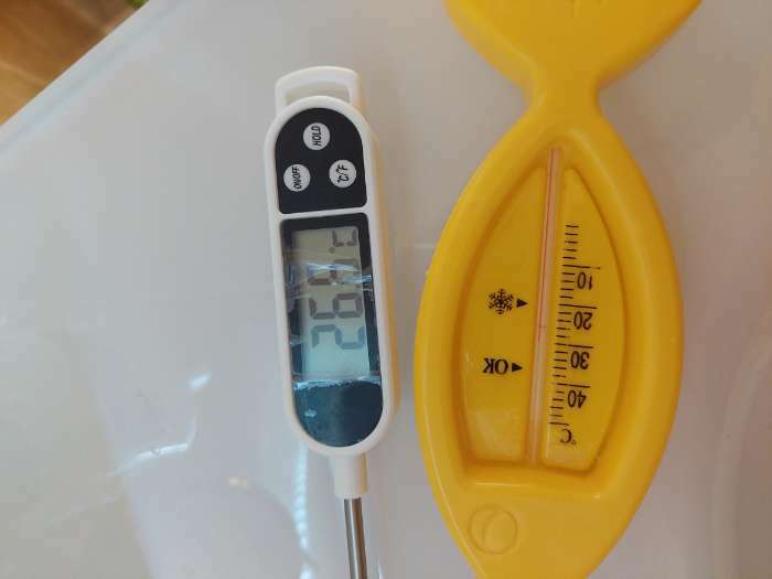 Фотография покупателя товара Термометр "Рыбка",  Luazon, детский, для воды, пластик, 15.5 см, микс
