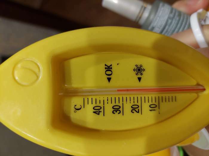 Фотография покупателя товара Термометр "Рыбка",  Luazon, детский, для воды, пластик, 15.5 см, микс - Фото 13