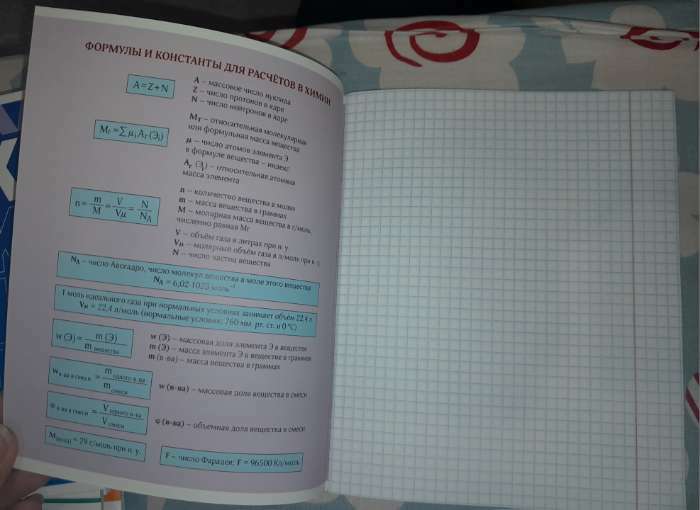 Фотография покупателя товара Тетрадь в линейку, предметная, 48 л., на скрепке, А5 «ГРАДИЕНТ. Литература» - Фото 20