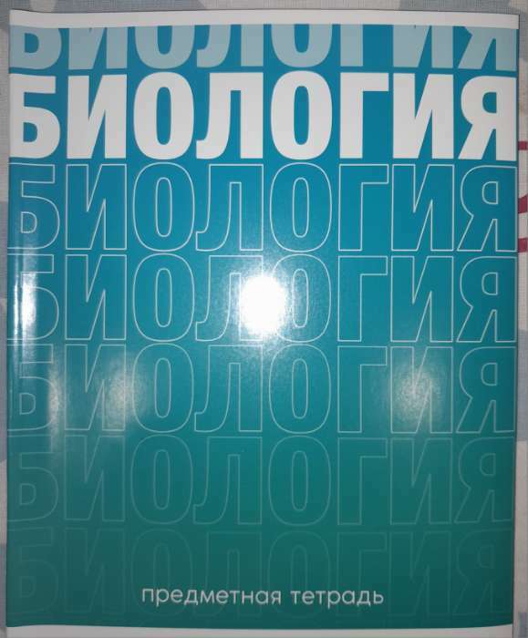 Фотография покупателя товара Тетрадь в линейку, предметная, 48 л., на скрепке, А5 «ГРАДИЕНТ. Литература» - Фото 11