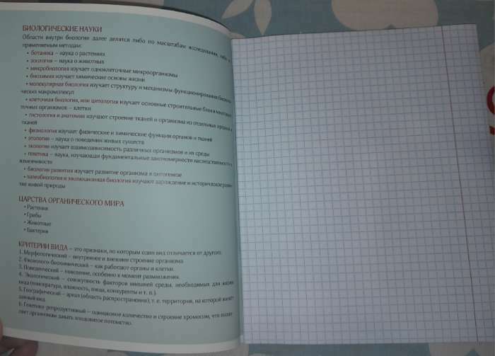 Фотография покупателя товара Тетрадь в линейку, предметная, 48 л., на скрепке, А5 «ГРАДИЕНТ. Литература» - Фото 12