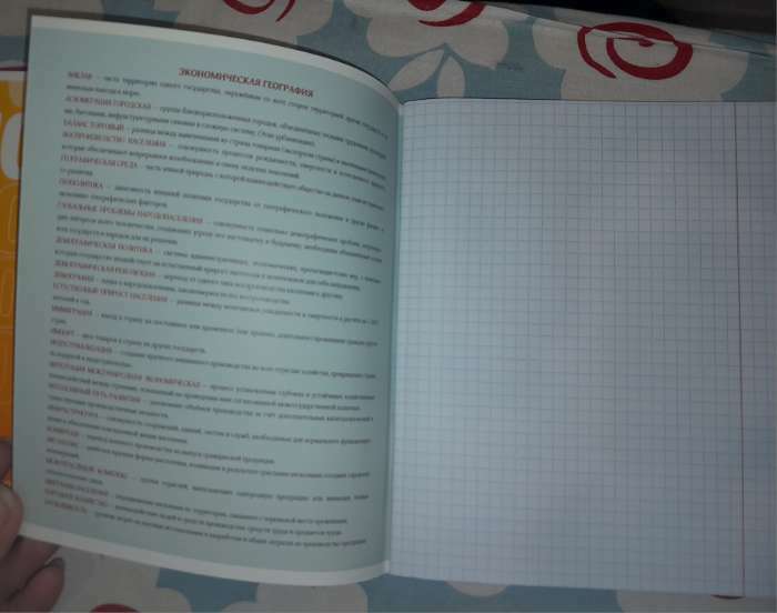 Фотография покупателя товара Тетрадь в линейку, предметная, 48 л., на скрепке, А5 «ГРАДИЕНТ. Литература» - Фото 9