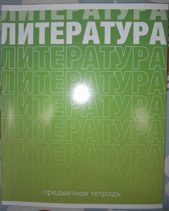 Фотография покупателя товара Тетрадь в линейку, предметная, 48 л., на скрепке, А5 «ГРАДИЕНТ. Литература» - Фото 3