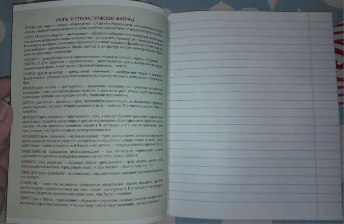 Фотография покупателя товара Тетрадь в линейку, предметная, 48 л., на скрепке, А5 «ГРАДИЕНТ. Литература» - Фото 4