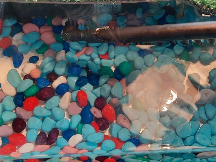 Фотография покупателя товара Галька для аквариума (5-10 мм) Микс, 350 г - Фото 1