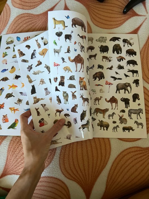 Фотография покупателя товара Книжка «500 наклеек. Животные» - Фото 8