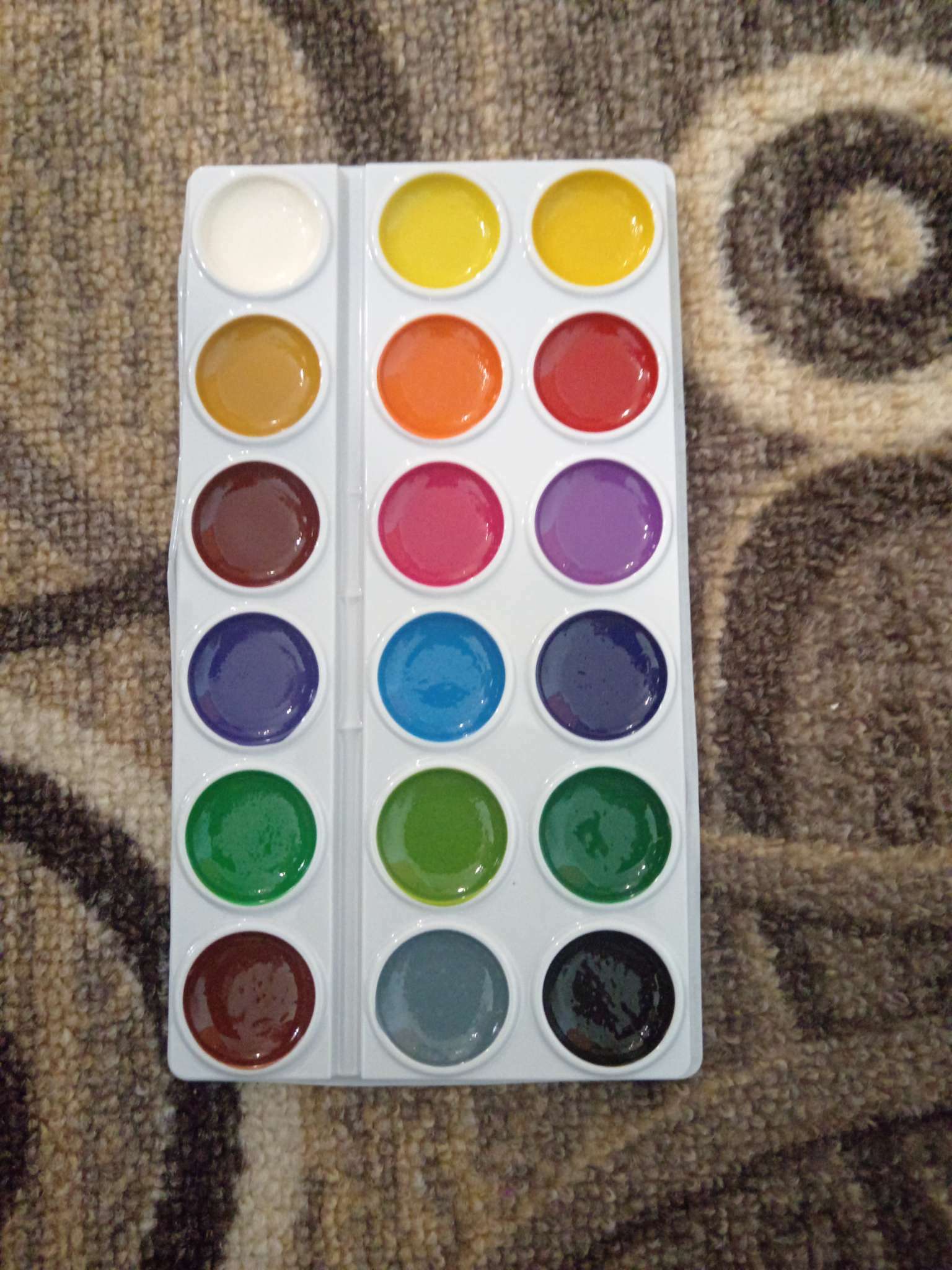 Фотография покупателя товара Краски акварельные 18 цветов ErichKrause Basic, эконом упаковка, без кисти, картон с европодвесом - Фото 5
