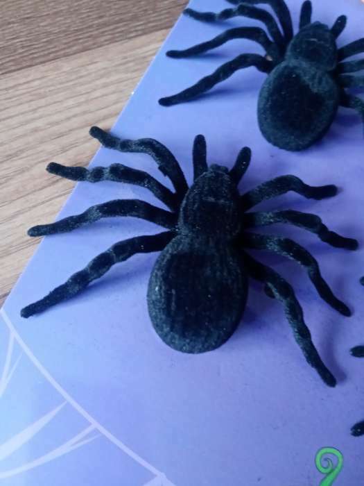 Фотография покупателя товара Паук прикол, набор, цвет чёрный - Фото 4