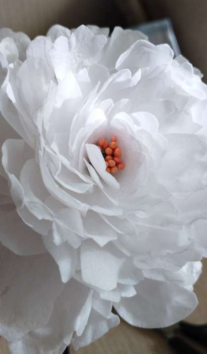 Фотография покупателя товара Флористическая проволока в бумажной оплётке "Белая", длина 40 см, 0,3 мм, набор 30 шт