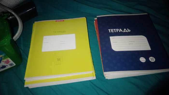 Фотография покупателя товара Тетрадь 18 листов в клетку ErichKrause Bright «Классика», МИКС - Фото 2