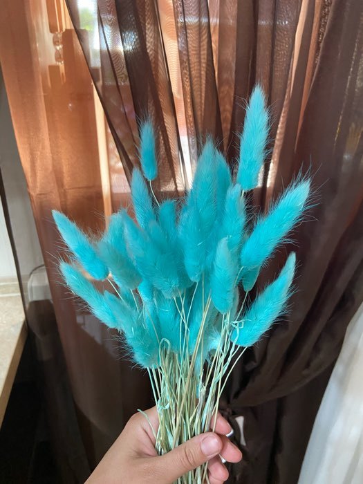 Фотография покупателя товара Сухие цветы лагуруса, набор: max 60 шт., цвет голубой - Фото 4