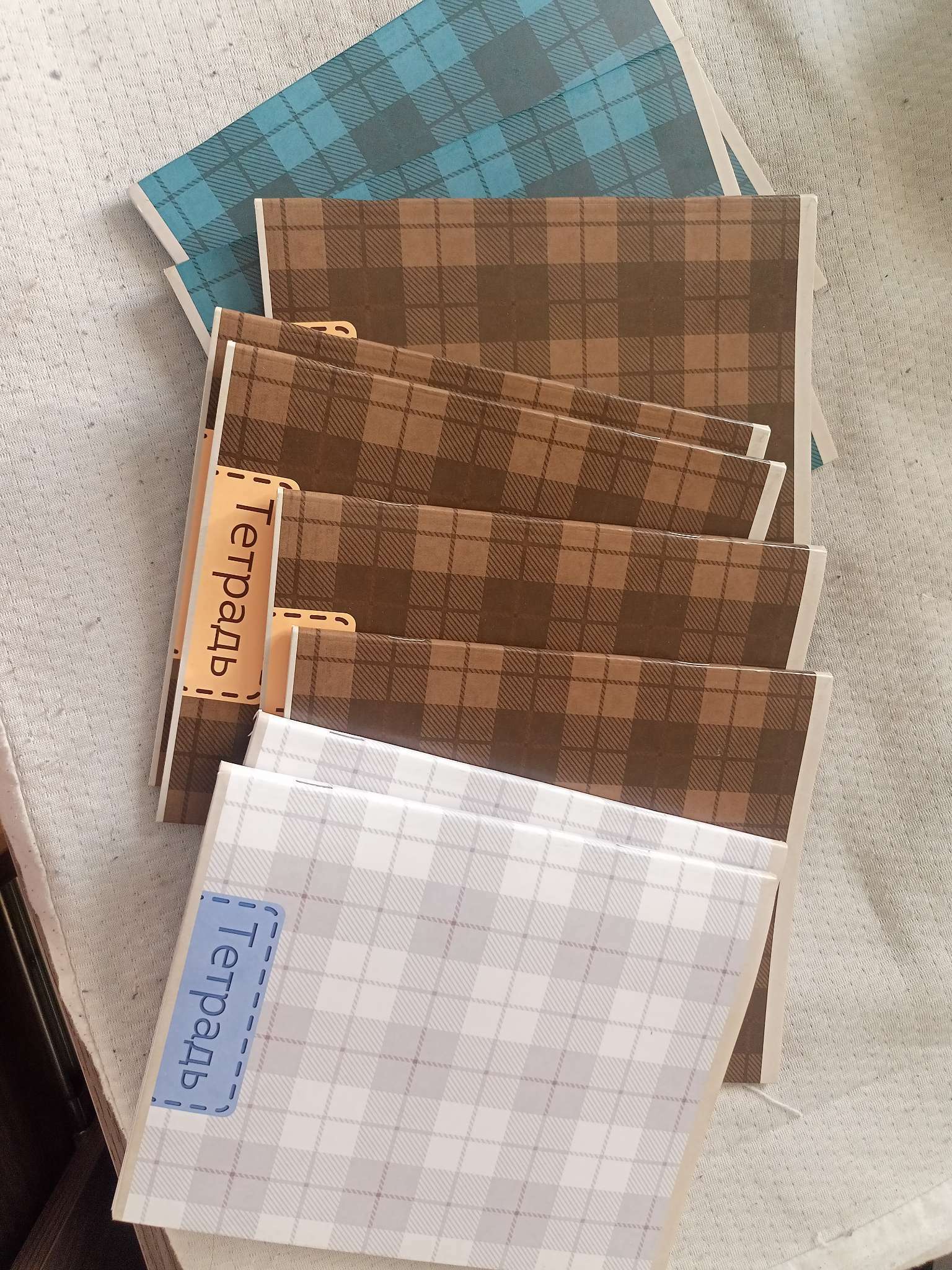 Фотография покупателя товара Тетрадь 48 листов в клетку, Calligrata «Шотландка», серые листы, МИКС - Фото 2