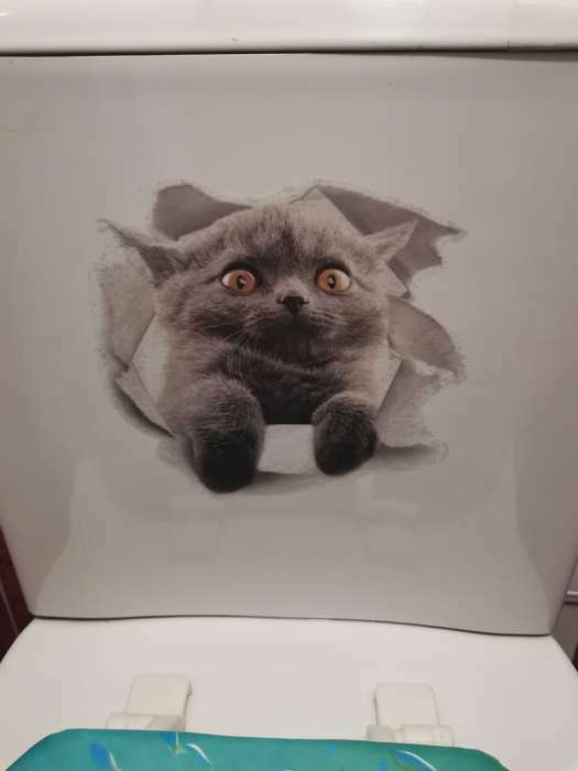 Фотография покупателя товара Наклейка 3Д интерьерная Кошка 25*23см - Фото 4
