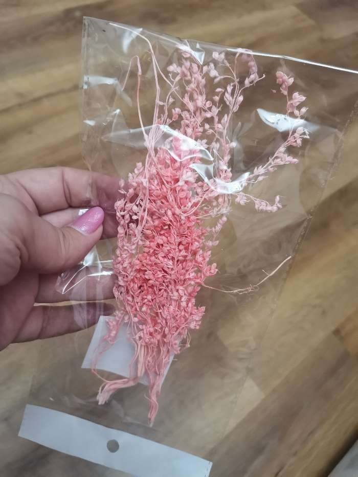 Фотография покупателя товара Сухие цветы сорги, 5 г, цвет розовый