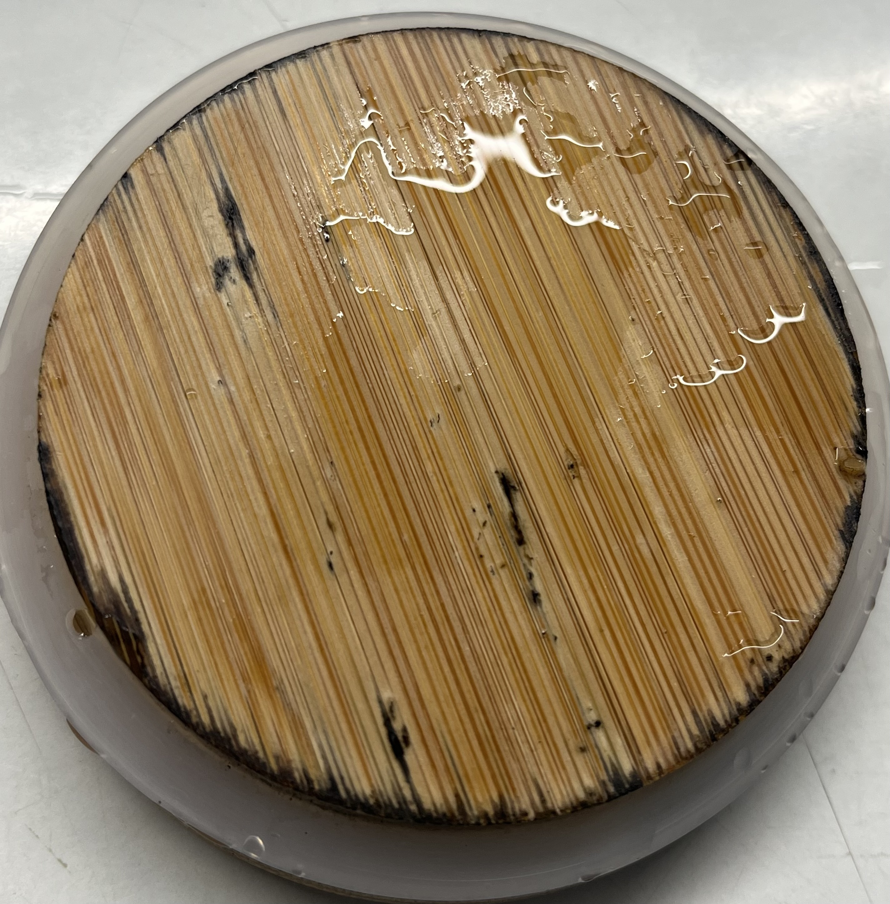 Фотография покупателя товара Кувшин стеклянный мерный с бамбуковой крышкой BellaTenero «Эко», 500 мл, 13×8×15 см - Фото 1