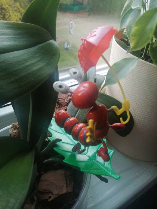 Фотография покупателя товара Садовый декор "Гусеница с зонтиком" - Фото 2