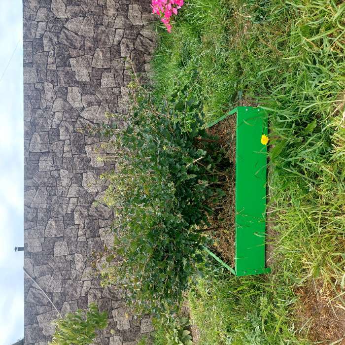 Фотография покупателя товара Клумба оцинкованная, 80 × 80 × 15 см, зелёная, «Квадро», Greengo - Фото 2