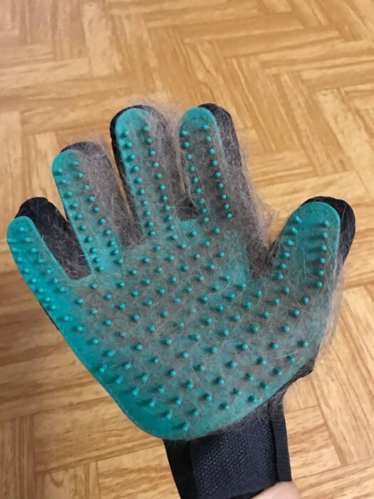 Фотография покупателя товара Перчатка - щетка для шерсти на правую руку с удлиненными зубчиками, синяя - Фото 4