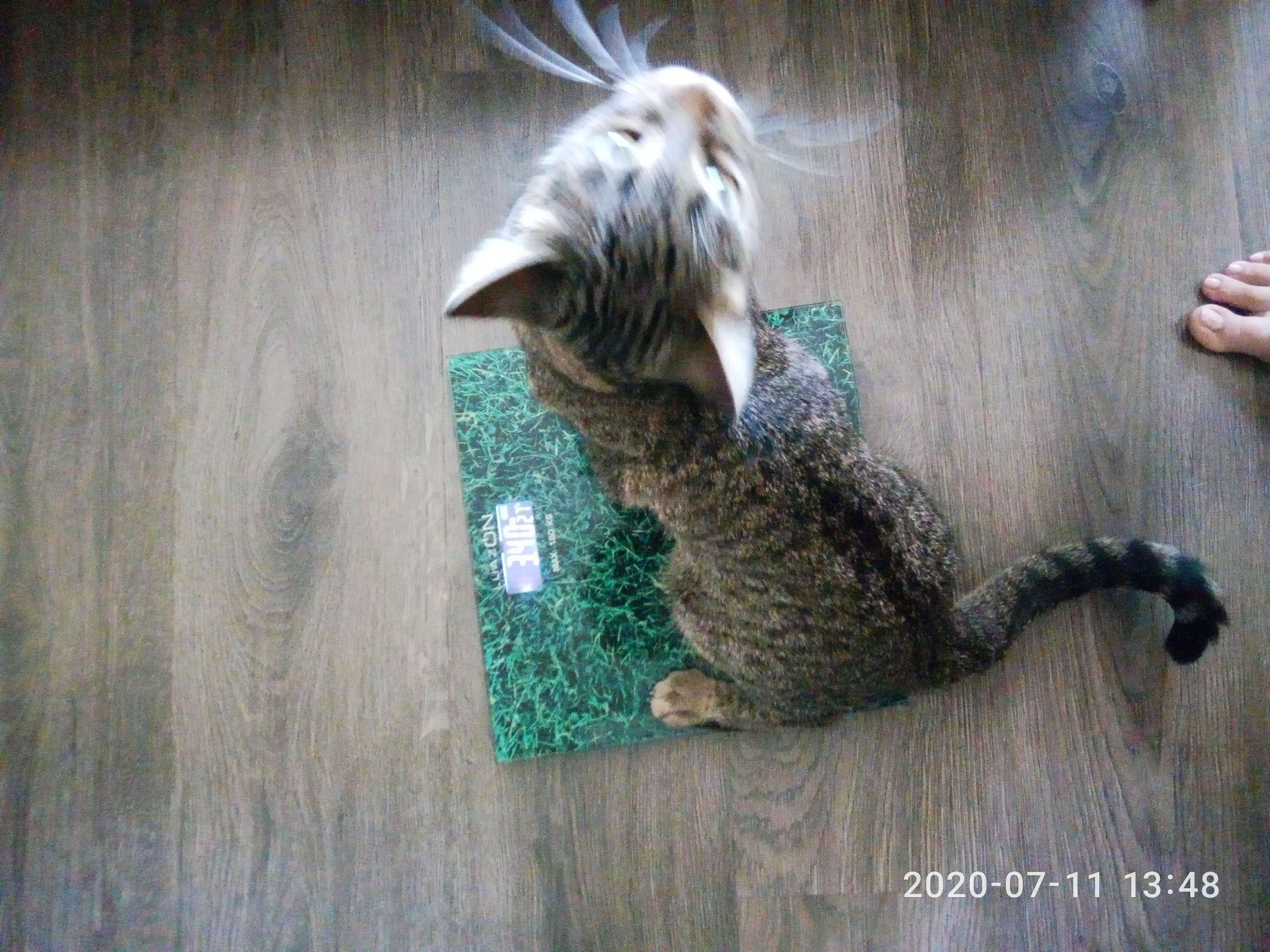 Фотография покупателя товара УЦЕНКА Весы напольные LuazON LVE-009, электронные, до 180 кг - Фото 4