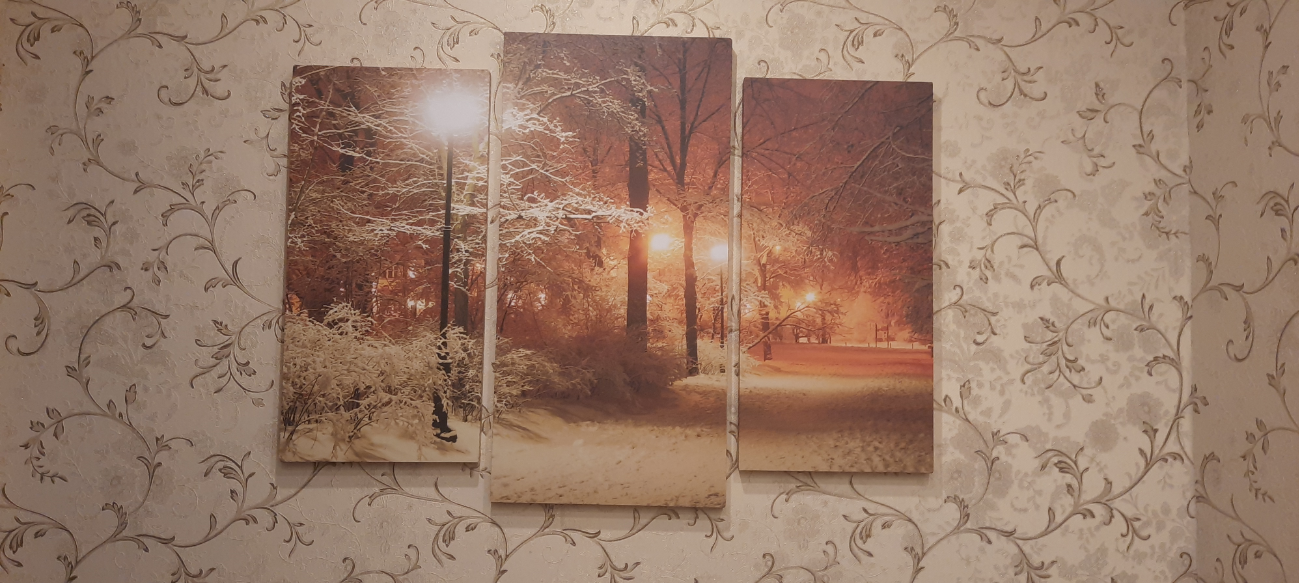 Фотография покупателя товара Картина модульная на подрамнике "Зима" 2шт-25х50, 1шт-30х60 ;60*80 см - Фото 3