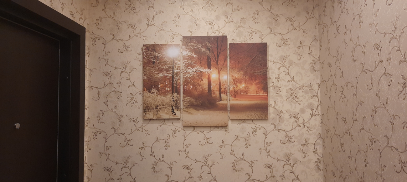 Фотография покупателя товара Картина модульная на подрамнике "Зима" 2шт-25х50, 1шт-30х60 ;60*80 см - Фото 5