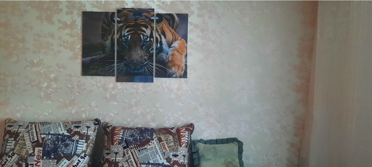 Фотография покупателя товара Модульная картина "Тигровый взгляд"  (2-25х52; 1-30х60) 60х80 см - Фото 6