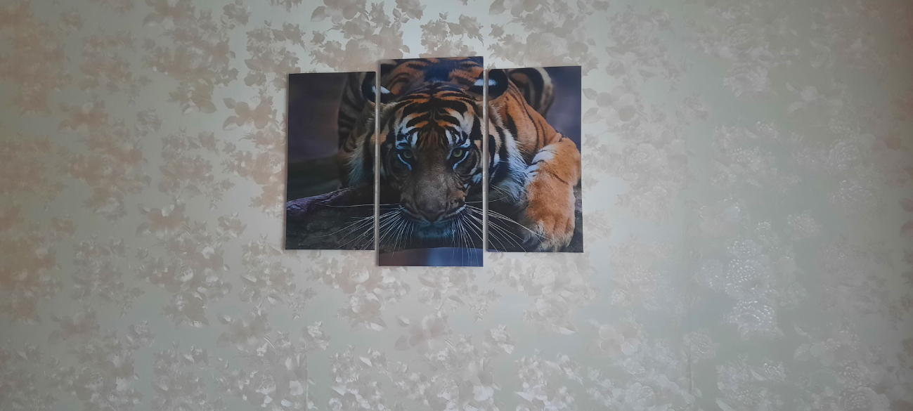 Фотография покупателя товара Модульная картина "Тигровый взгляд"  (2-25х52; 1-30х60) 60х80 см - Фото 7