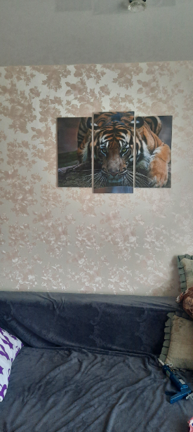 Фотография покупателя товара Модульная картина "Тигровый взгляд"  (2-25х52; 1-30х60) 60х80 см - Фото 8
