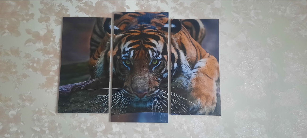 Фотография покупателя товара Модульная картина "Тигровый взгляд"  (2-25х52; 1-30х60) 60х80 см - Фото 9
