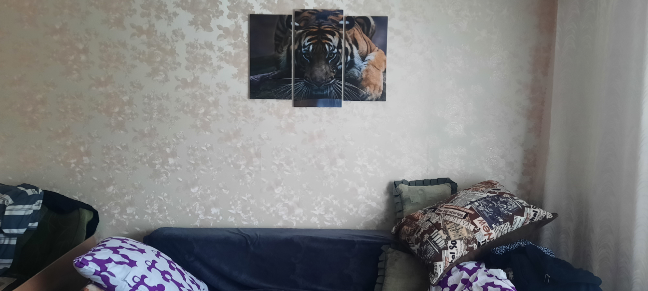 Фотография покупателя товара Модульная картина "Тигровый взгляд"  (2-25х52; 1-30х60) 60х80 см - Фото 10