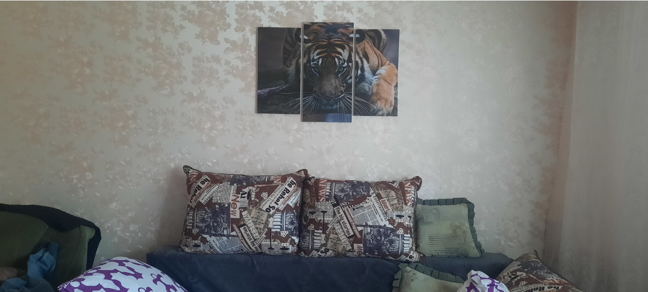 Фотография покупателя товара Модульная картина "Тигровый взгляд"  (2-25х52; 1-30х60) 60х80 см - Фото 11