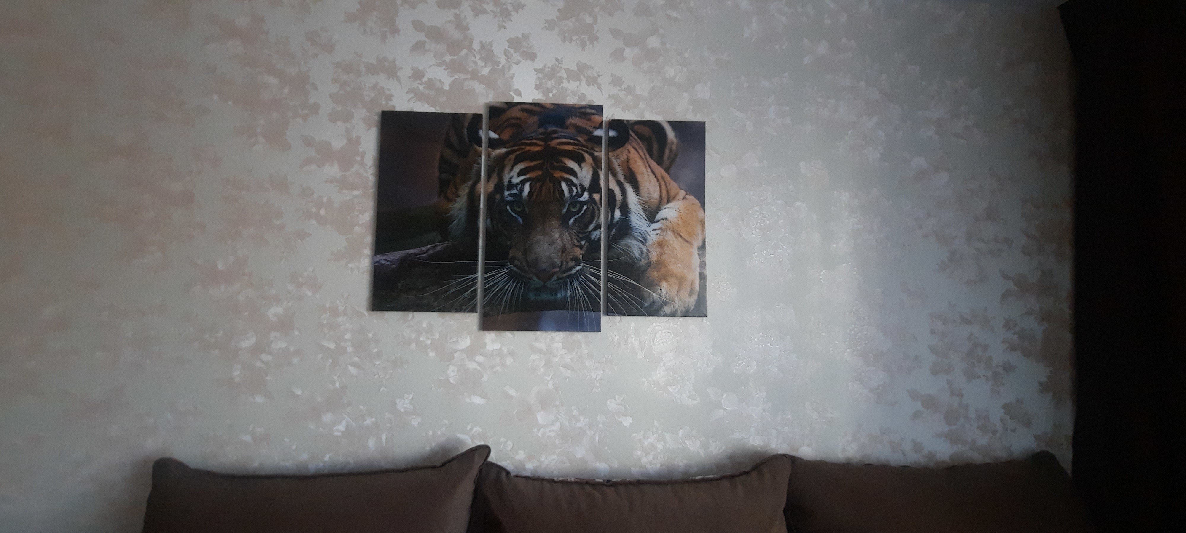 Фотография покупателя товара Модульная картина "Тигровый взгляд"  (2-25х52; 1-30х60) 60х80 см - Фото 3