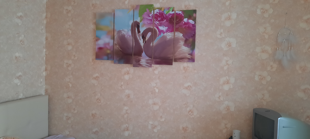 Фотография покупателя товара Картина модульная на подрамнике "Белые лебеди" 2шт-21*54; 2шт-21*61; 1шт-21*68; 105*68 см - Фото 3