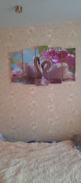 Фотография покупателя товара Картина модульная на подрамнике "Белые лебеди" 2шт-21*54; 2шт-21*61; 1шт-21*68; 105*68 см - Фото 4
