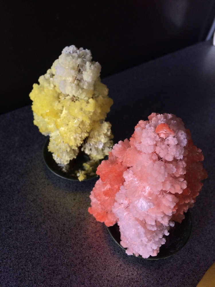 Фотография покупателя товара Набор для выращивания кристалла «Волшебное дерево» цвет красный - Фото 36