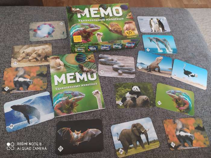 Фотография покупателя товара Настольная игра «Мемо. Удивительные животные», 50 карточек + познавательная брошюра - Фото 3
