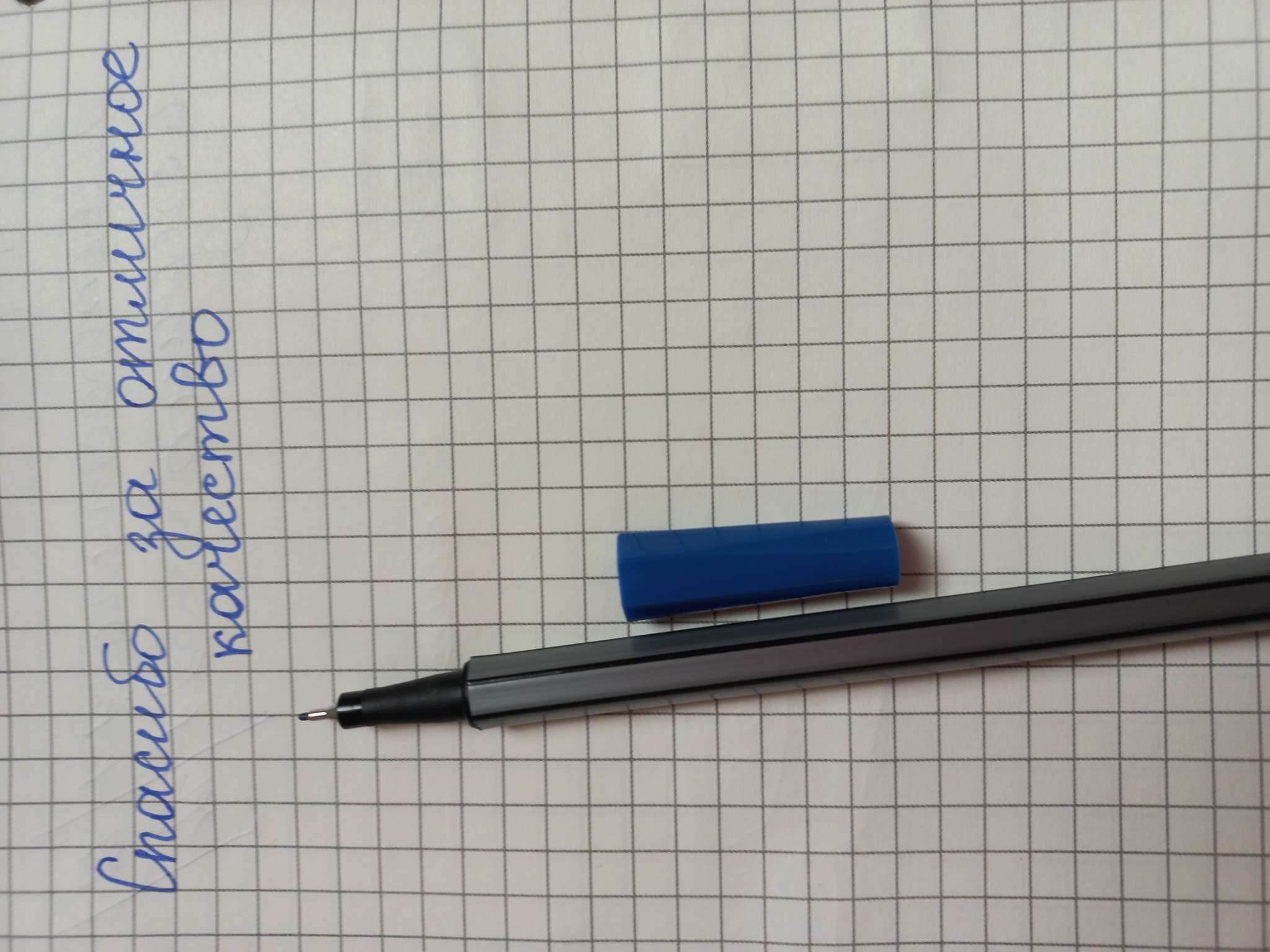 Фотография покупателя товара Ручка капиллярная Basic FINELINER, узел 0.4 мм, стержень синий - Фото 1