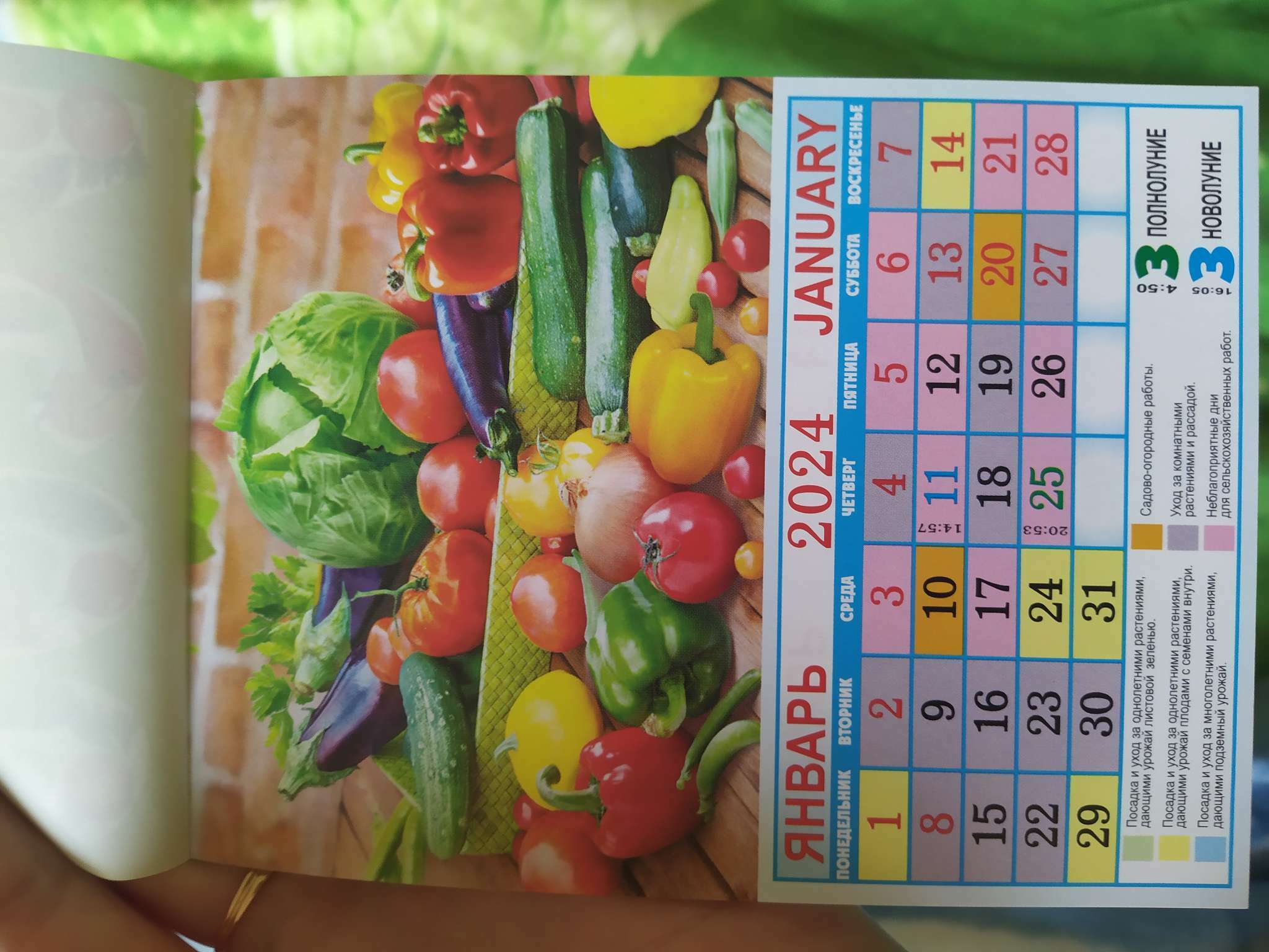 Фотография покупателя товара Календарь отрывной на магните "Сад и огород" 2024 год, 9,4х13 см - Фото 2
