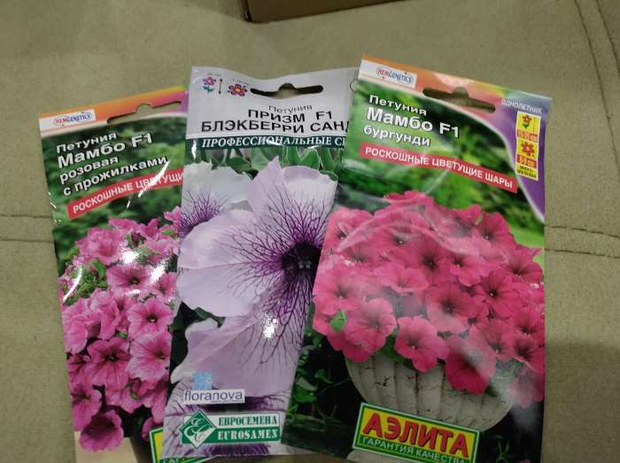 Фотография покупателя товара Семена цветов Петуния Мамбо F1 розовая с прожилками многоцветковая, 7 шт - Фото 15