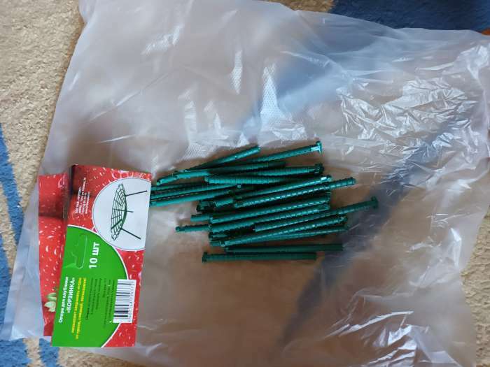 Фотография покупателя товара Кустодержатель для клубники, d = 30.5 см, пластик, зелёный - Фото 4