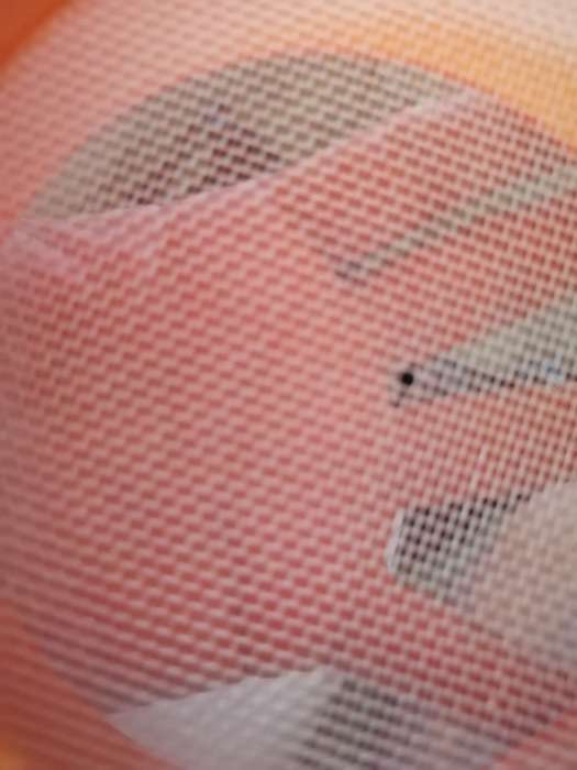 Фотография покупателя товара Сито пластиковое круглое с ручкой «Ушки», d=12 см, цвет МИКС
