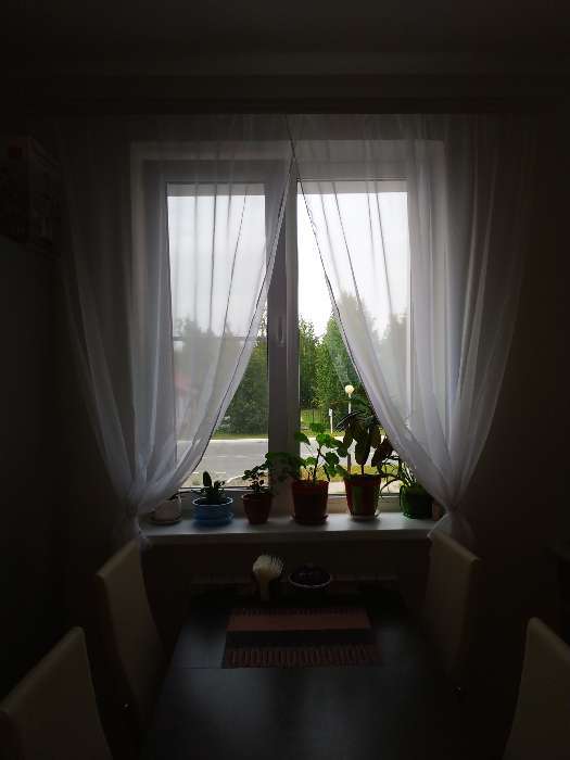 Фотография покупателя товара Комплект штор для кухни Witerra Дороти 280х180см, белый, пэ100% - Фото 6