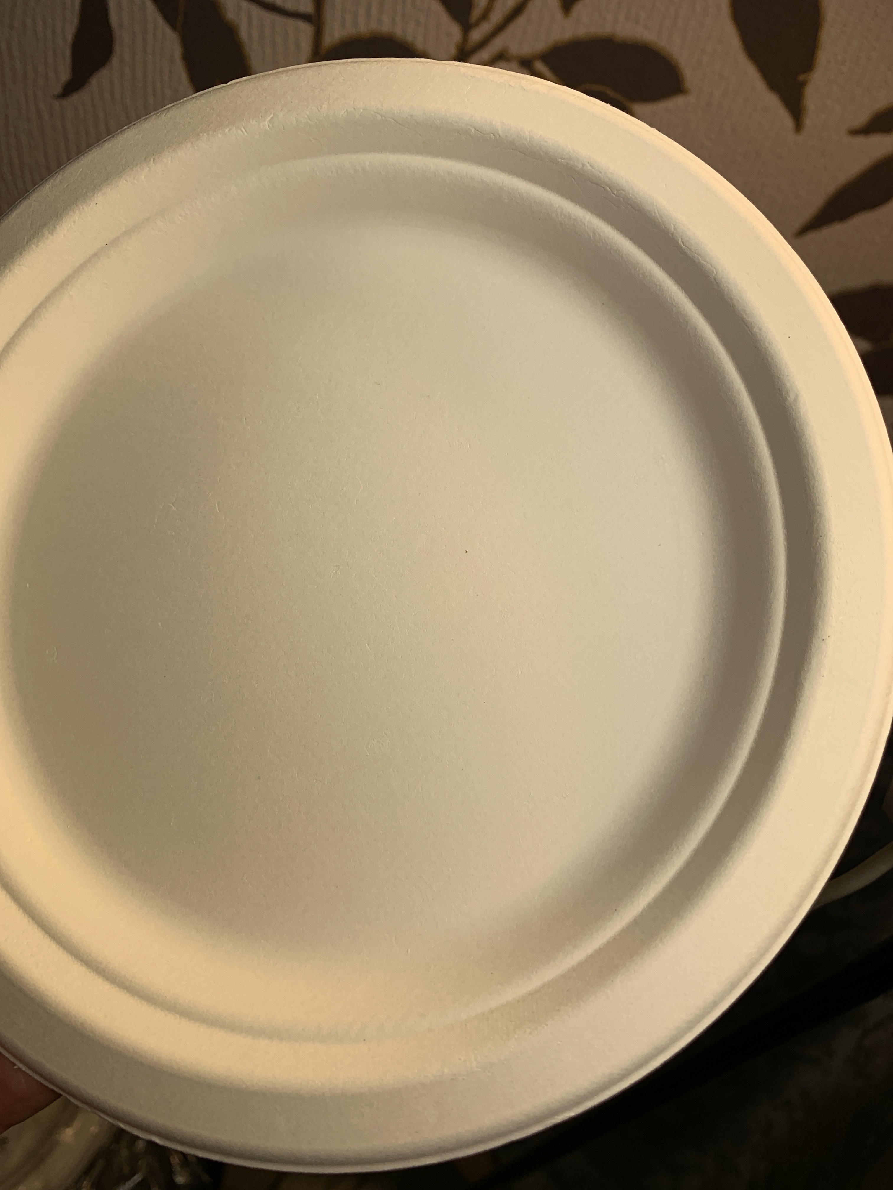 Фотография покупателя товара Тарелка одноразовая ECO, d=17,2 см, круглая, из сахарного тростника, цвет белый - Фото 3