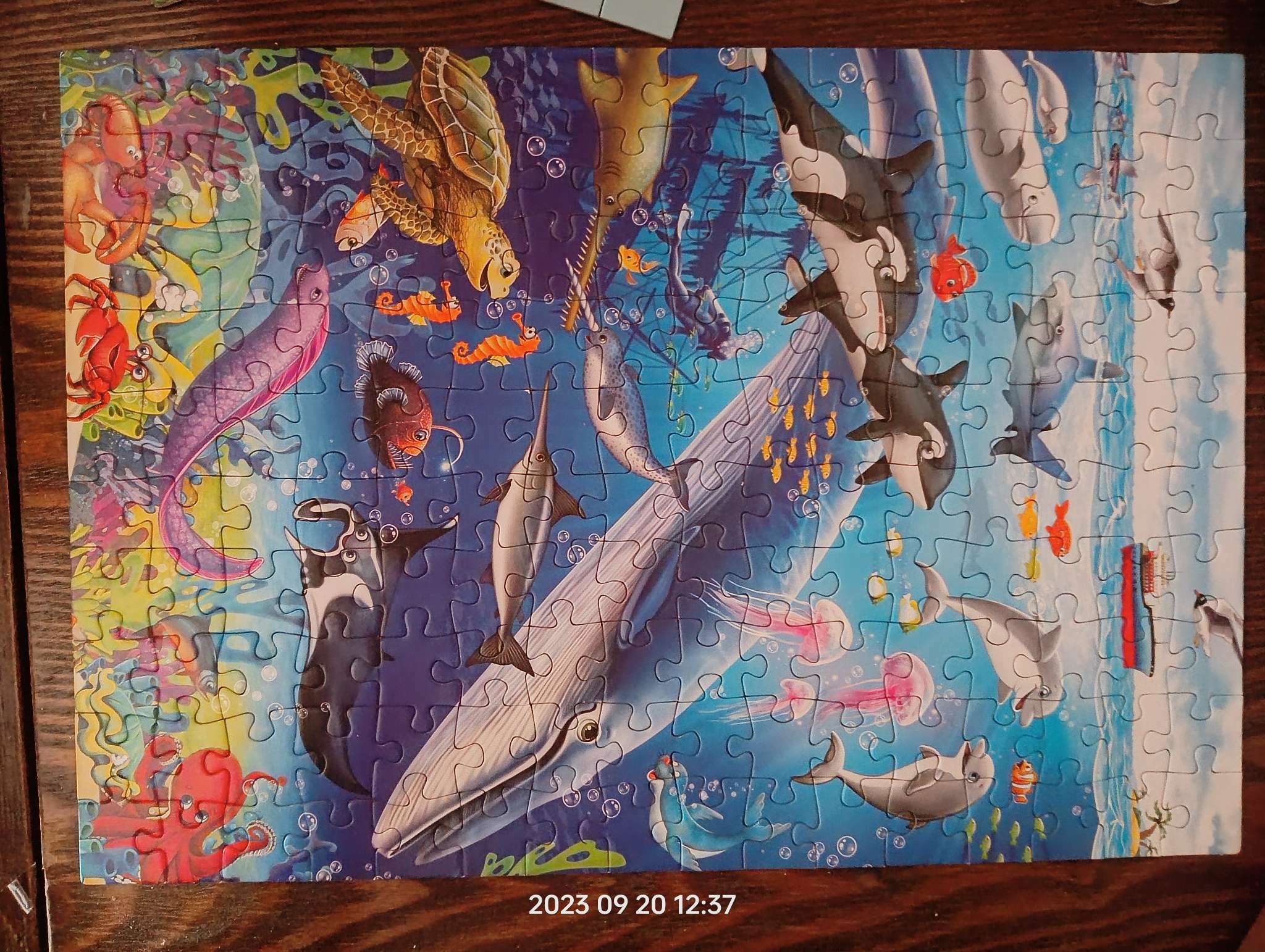 Фотография покупателя товара Пазл детский «На глубине», 160 элементов - Фото 8