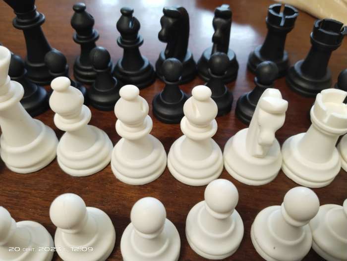 Фотография покупателя товара Шахматные фигуры, король h-6.2 см, пешка h-3.2 см, черно-белые - Фото 4