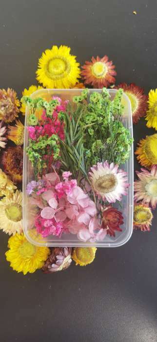 Фотография покупателя товара Набор для творчества «Набор сухоцветов» большой, розовый + жёлтый - Фото 19