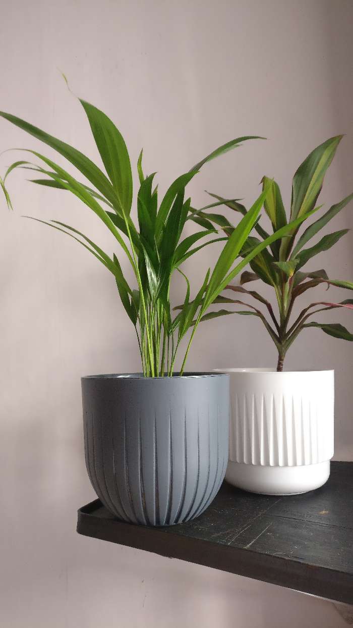 Фотография покупателя товара Пластиковый горшок с вкладкой «Альфа», цвет антрацит - Фото 2