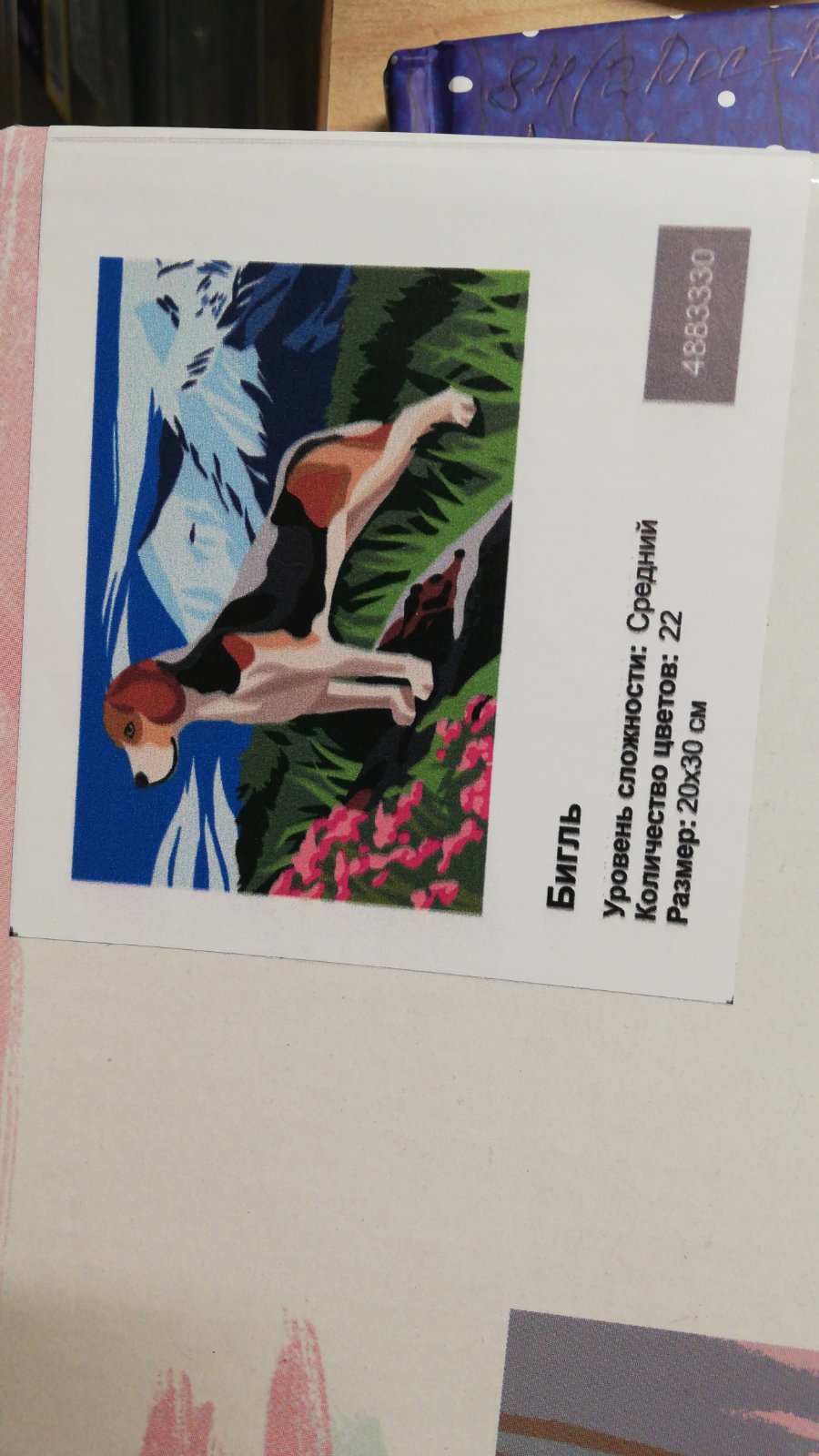 Фотография покупателя товара Картина по номерам на холсте с подрамником «Бигль» 20×30 см - Фото 2