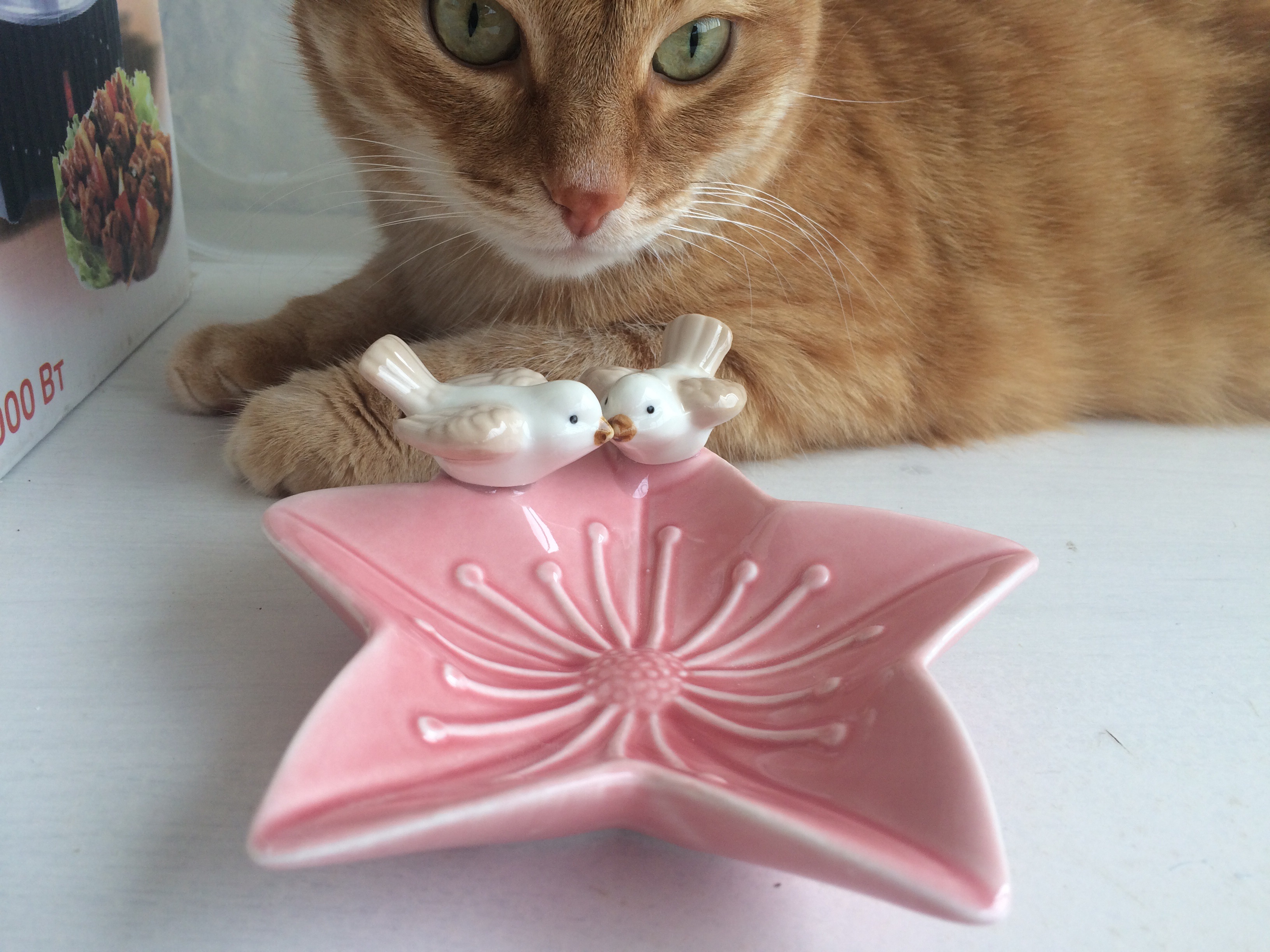 Фотография покупателя товара Блюдо керамическое сервировочное «Голубки на цветочке», 14×13,5×4 см, цвет розовый - Фото 1
