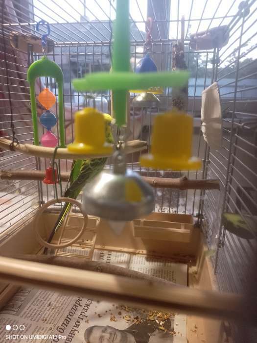 Фотография покупателя товара Игрушка для птиц с колокольчиком №2 микс цветов - Фото 1